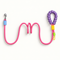 PETMANYA The Color Pop Leash
