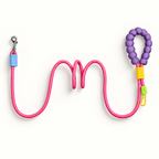 PETMANYA The Color Pop Leash