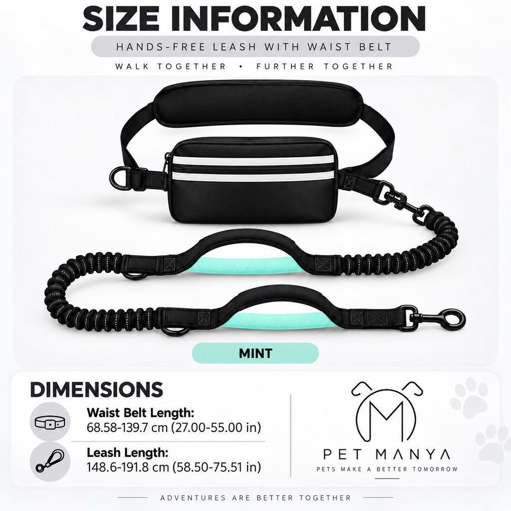PETMANYA Reflective Hands-Free Running Single Leash in Mint - product photo