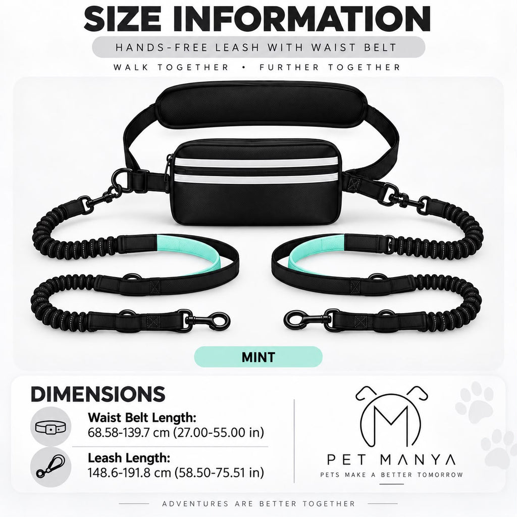 PETMANYA Reflective Hands-Free Running Double Leash in Mint - product photo