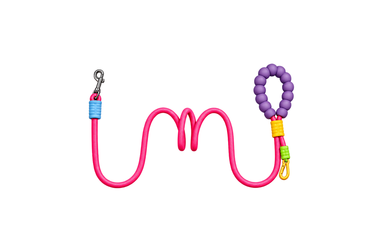 PETMANYA The Color Pop Leash