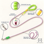 PETMANYA The Color Pop Leash