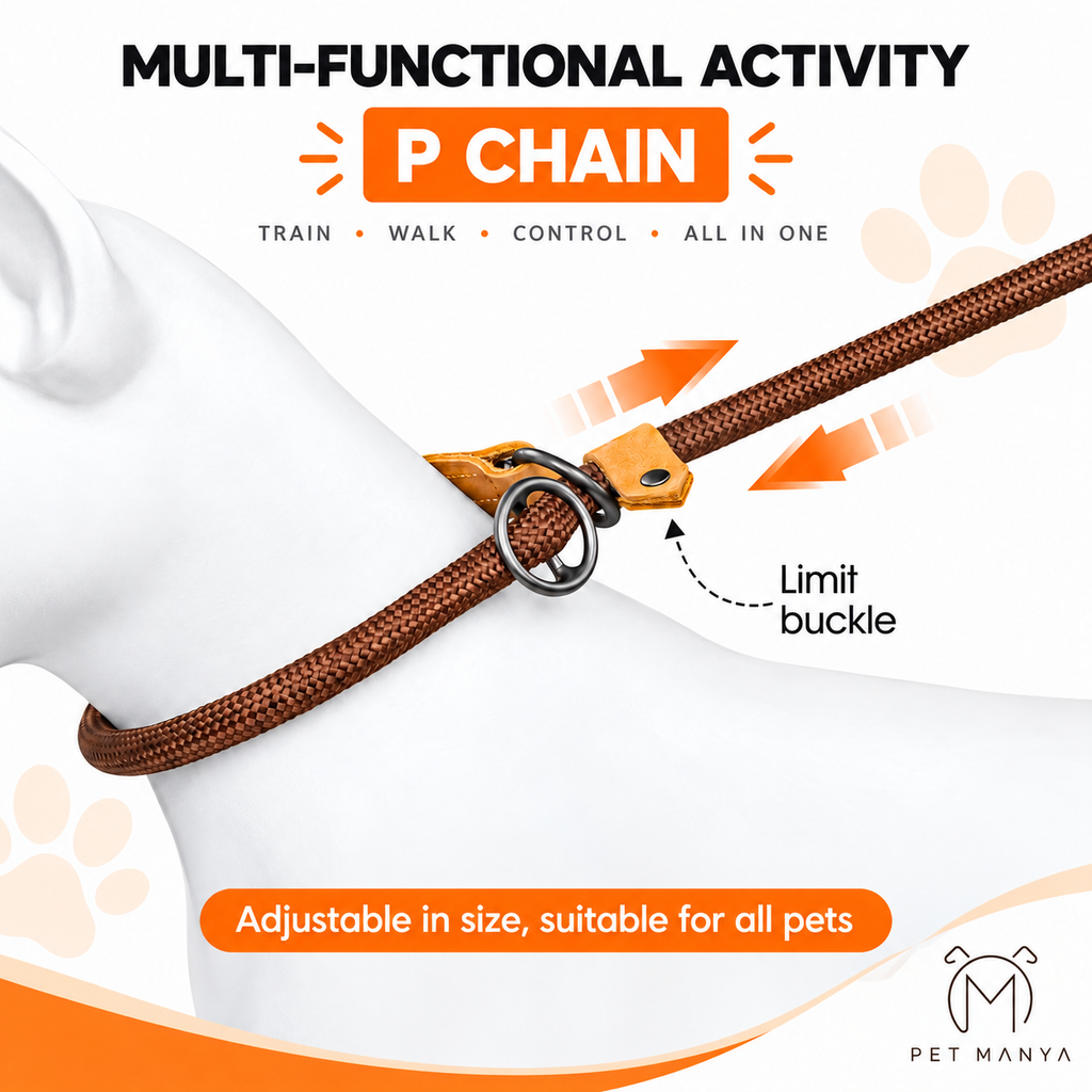 PETMANYA Adjustable Hands-Free Dog Leash - everyday outdoor walking leash