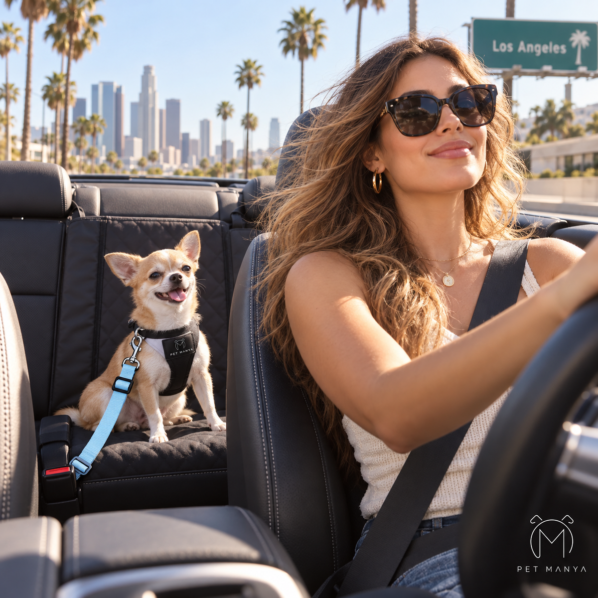 PETMANYA Adjustable Pet Car Safety Tether - vehicle tether for everyday trips