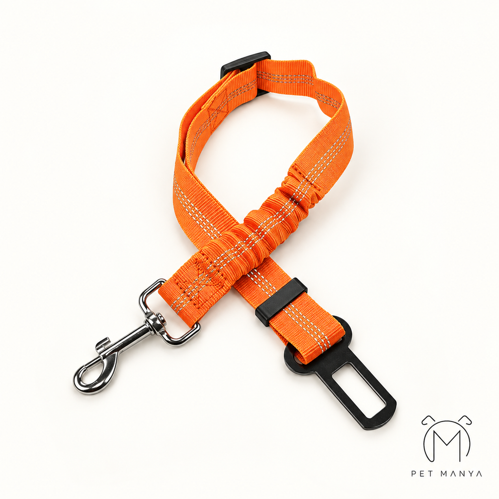 PETMANYA Adjustable Pet Car Safety Tether - webbing and stitching detail