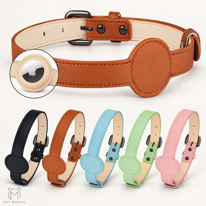 A tan leather pet collar with a large oval patch and metal buckle, shown on a white background with a circular inset of the patch. Five smaller color variants are lined up below: black, tan, light blue, mint green, and pink.