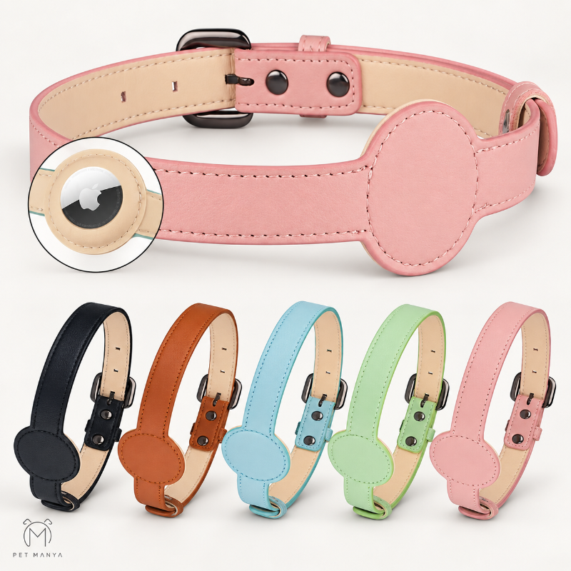 A pink pet collar with a large oval patch and metal buckle, shown on a clean white background. A circular inset highlights the adjustable buckle mechanism.