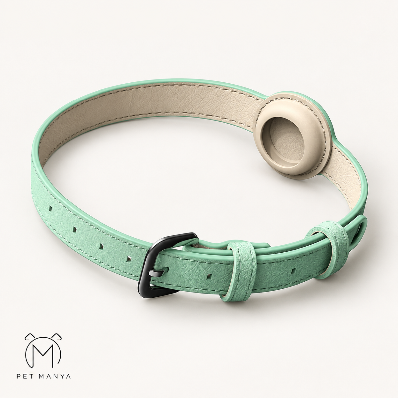PETMANYA anti-lost pet collar in mint green faux leather with tracker holder