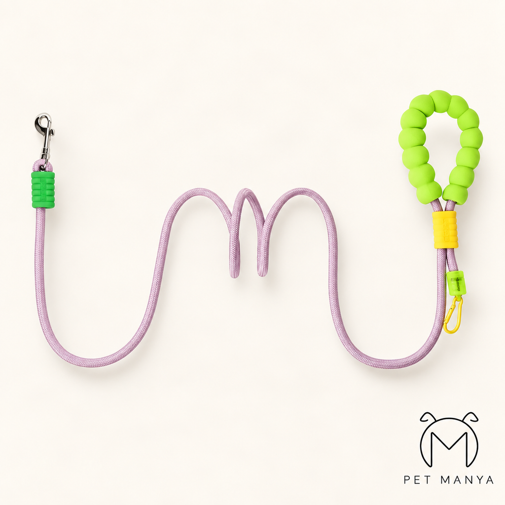 PETMANYA Color Pop Leash - everyday comfort walking leash