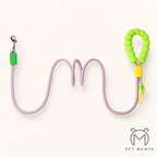 PETMANYA Color Pop Leash - everyday comfort walking leash