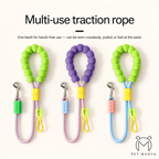 PETMANYA Color Pop Leash - P-shape lead for everyday control