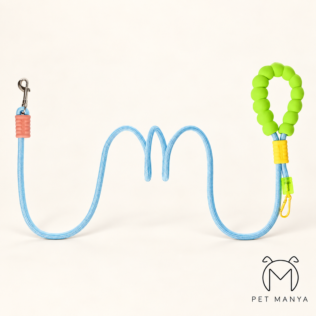 PETMANYA Color Pop Leash - practical hands-free walking accessory