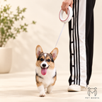 PETMANYA Freedom Luxury Retractable Leash retractable mechanism