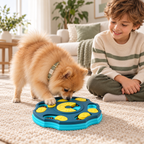 A small fluffy dog is playing with a blue and yellow puzzle toy on a beige carpet, while a child sits nearby in a bright living room.