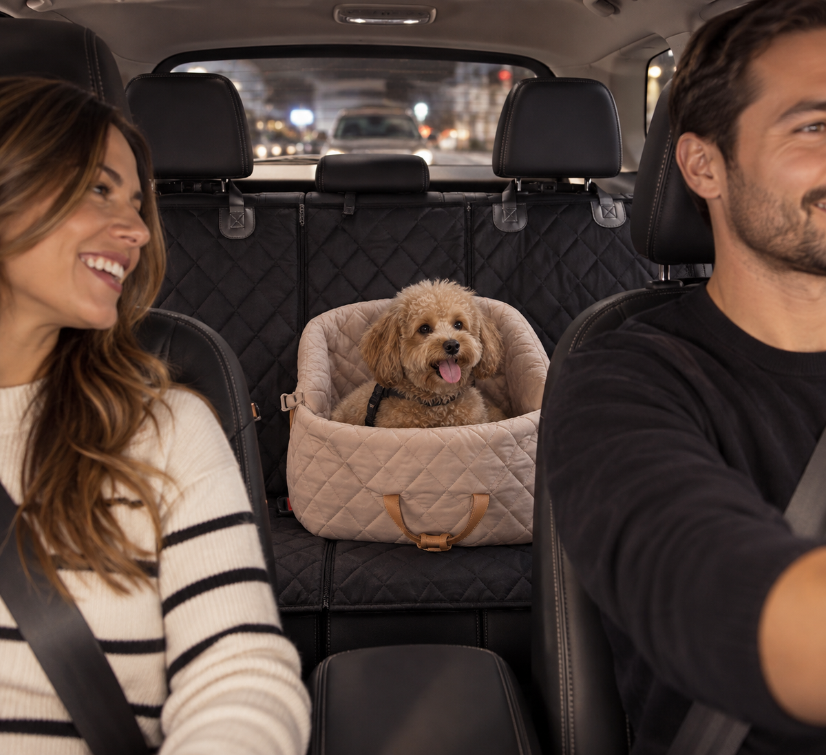 PETMANYA Luxury Pet Tote & Car Booster - compact booster seat for car travel
