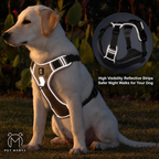 A light-colored Labrador retriever sits on grass outdoors at night wearing a reflective dog harness. The harness has bright white reflective trim and black straps.