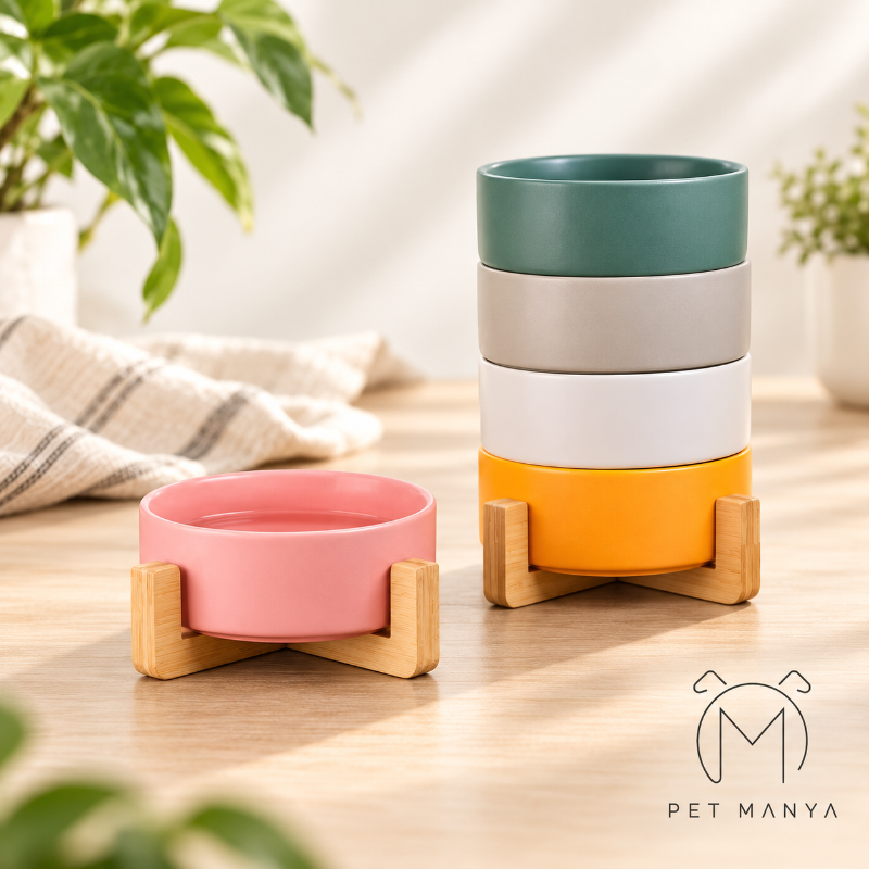 Four ceramic pet bowls in teal, gray, white, and orange, each resting on a small wooden stand, with one pink bowl in front on a light wood tabletop. A plant and folded cloth are softly blurred in the background.