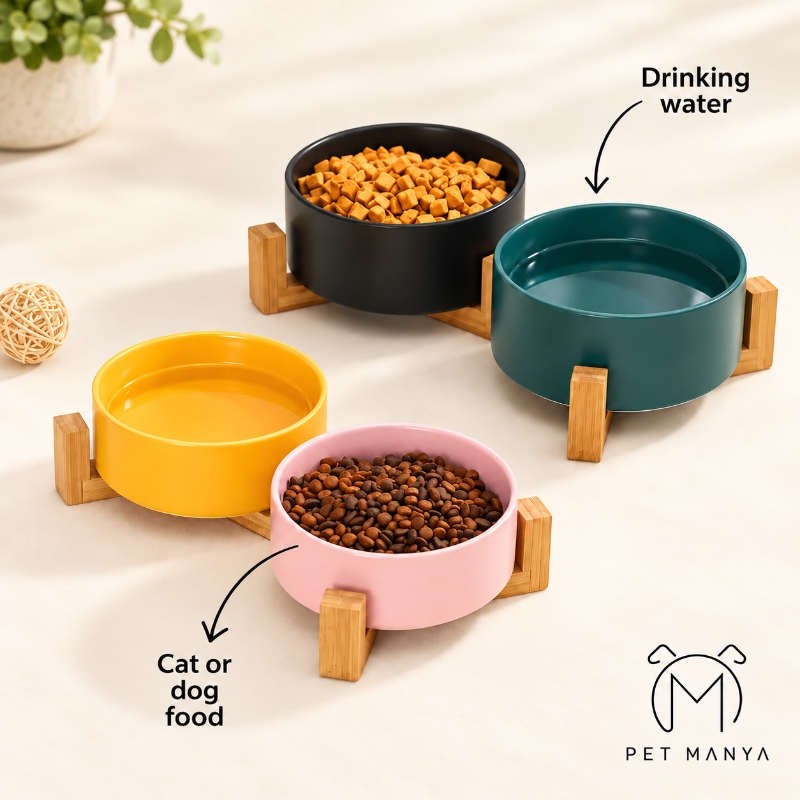 Four pet bowls on wooden stands arranged on a light beige surface: a black bowl with dry food, a teal bowl labeled 'Drinking water,' a yellow bowl, and a pink bowl with wet food. Text arrows point to the bowls, and the brand logo 'PET MANYA' appears in the lower right.