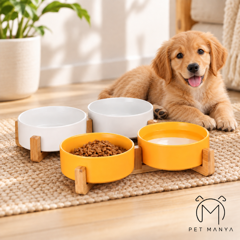 A golden retriever puppy lies on a woven rug behind a set of four elevated pet bowls. Three bowls are white and one is bright yellow-orange, with one bowl filled with kibble and one with liquid.