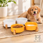 A golden retriever puppy lies on a woven rug behind a set of four elevated pet bowls. Three bowls are white and one is bright yellow-orange, with one bowl filled with kibble and one with liquid.