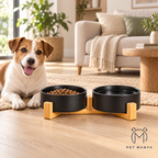 A brown and white dog lies on a woven rug in a bright living room, looking toward a black dual pet feeder and water bowl set on a light wood stand. The food bowl contains kibble, and the water bowl is empty.