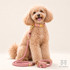 PETMANYA Personalized Collar & Leash Set - durable everyday construction
