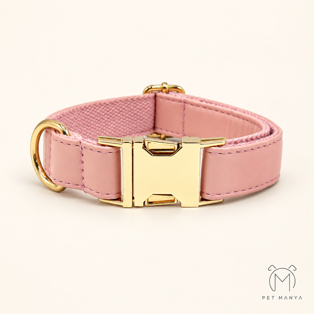 PETMANYA Personalized Collar & Leash Set - includes waste bag holder for walks