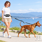 PETMANYA Reflective Hands-Free Running Leash - keeps hands free during outdoor adventures