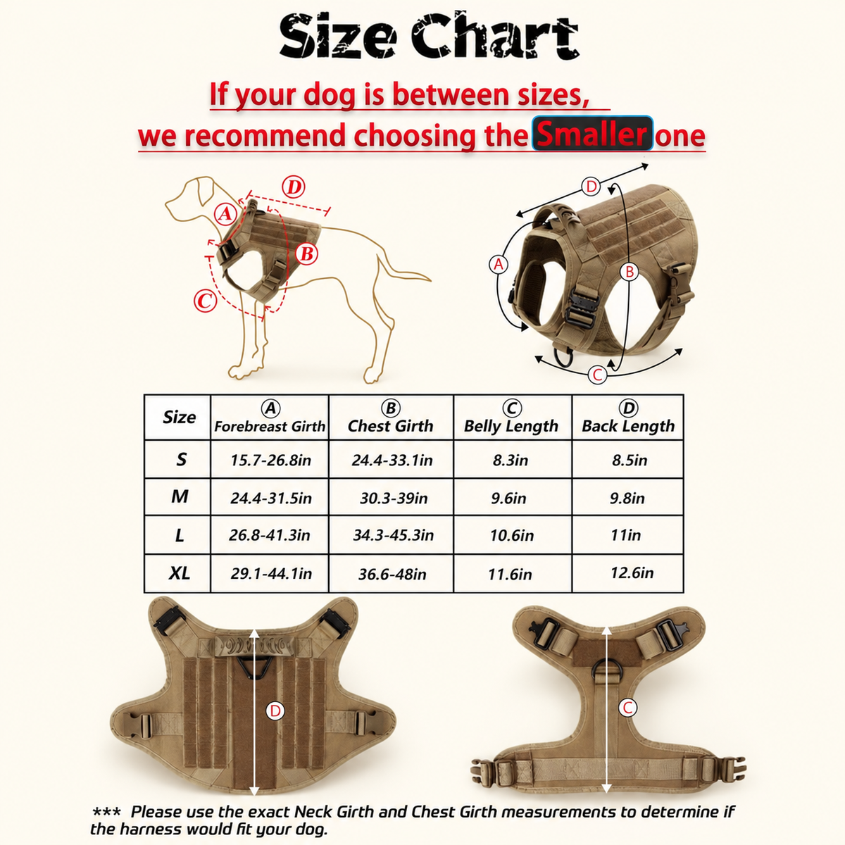 A size chart diagram for a dog harness, showing labeled line drawings of a dog and a harness with measurement points, plus a size table listing S, M, L, and XL measurements in centimeters and inches.