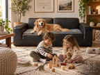 PETMANYA Thick Flannel Non-Slip Sofa Cover - couch coverage detail