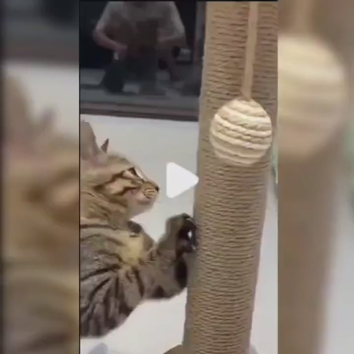 PETMANYA Solid Wood Cat Scratching Activity Center